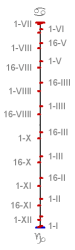 Ligne de date gradu�e tous les 1er et 16 du mois