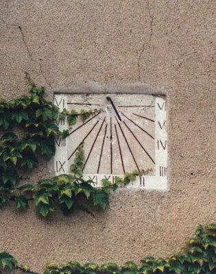 Sundial being threaten by vegetation